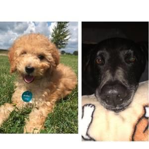 Meet your Posher, Kim